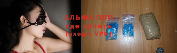 крисы Алексин