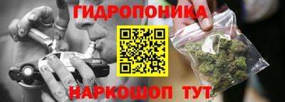твердый Заводоуковск