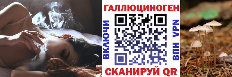 Галлюциногенные грибы прущие грибы  закладка  Дмитров 